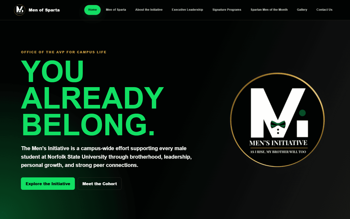 Men's Initiative Website mobile screenshot